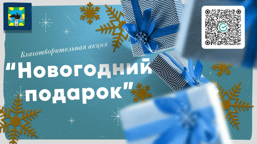 Члены Молодёжного правительства присоединились к благотворительной акции «Новогодний подарок»